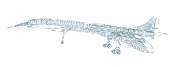 Pencil drawing of Concorde cut-away model by Katie John